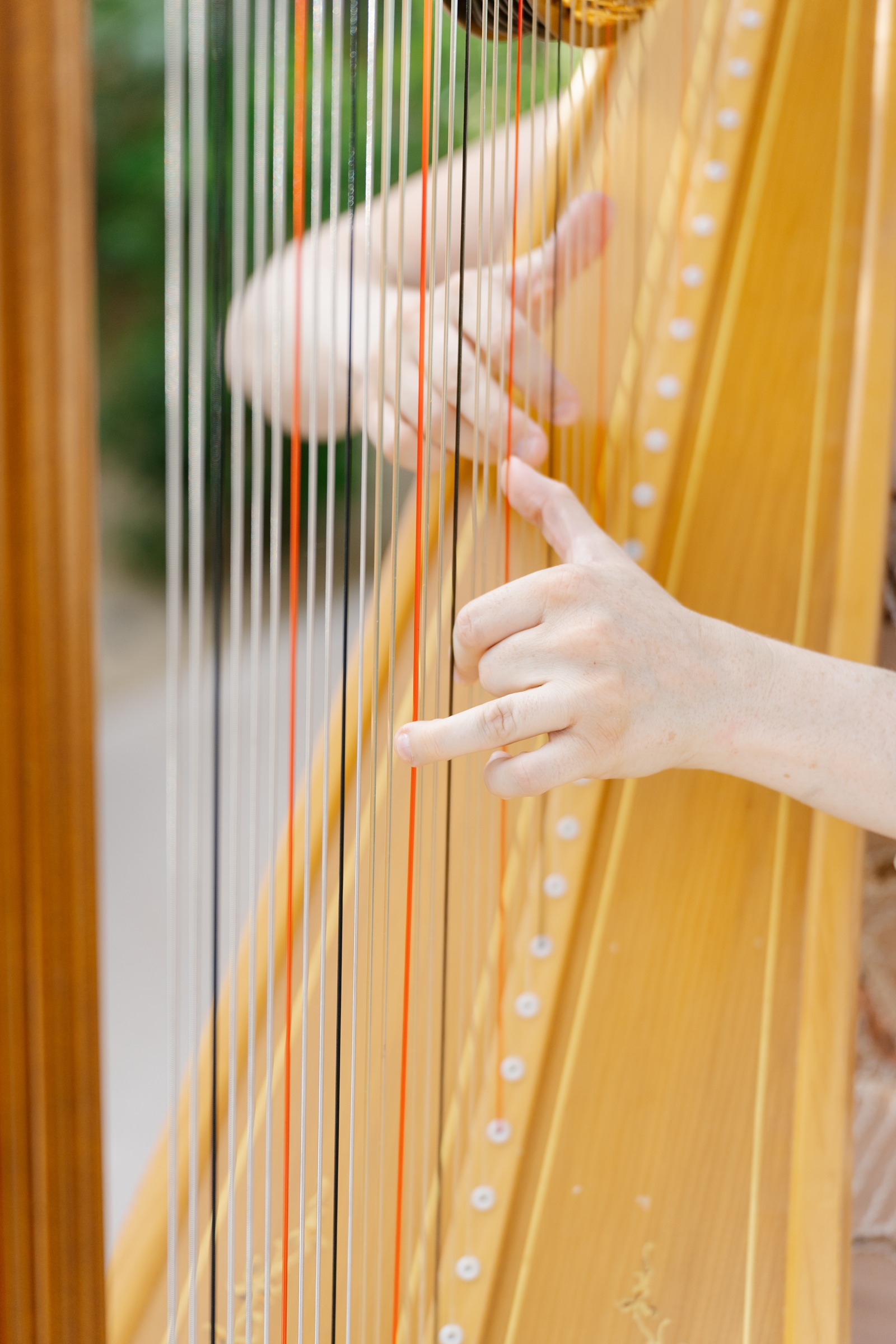 Harp music for a wedding: harpist's hands at the strings