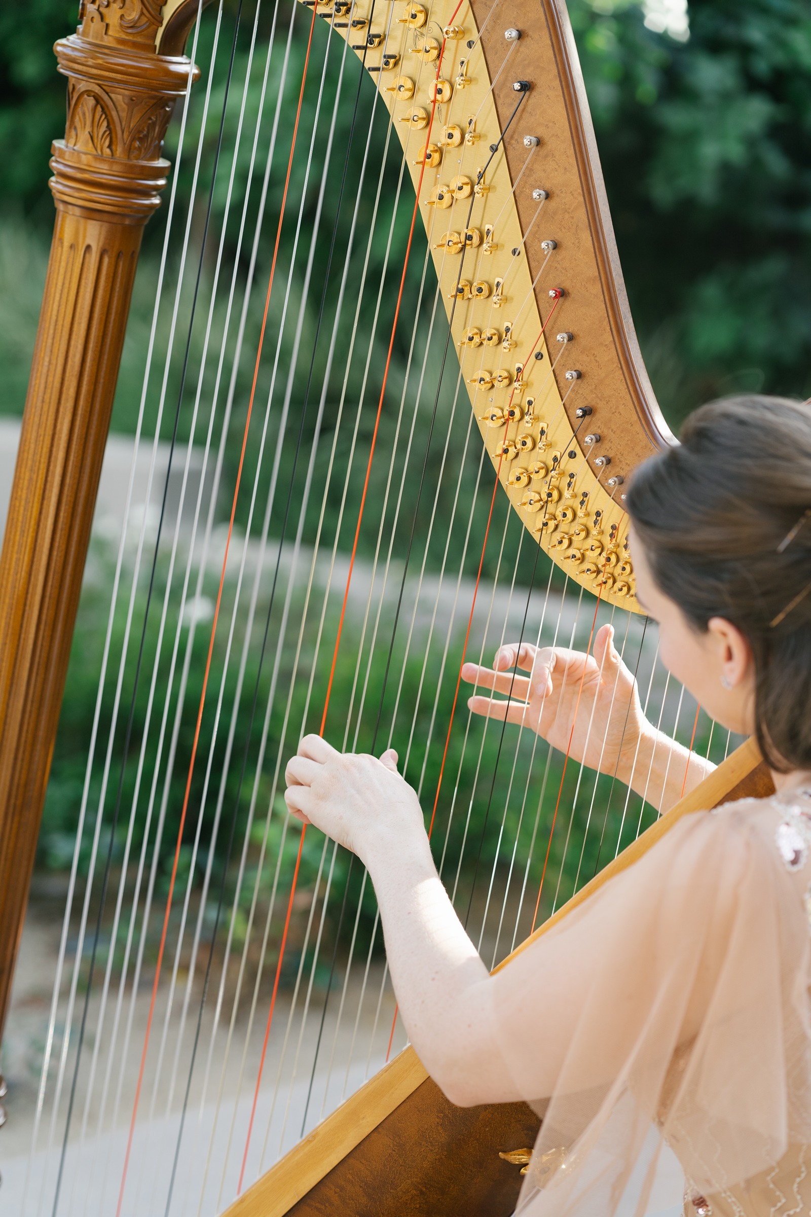 Harp music for a wedding